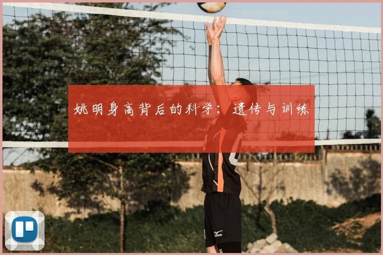 姚明身高背后的科学:遗传与训练